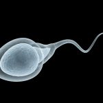 How Can Sperm Score Test Help Detect Fertility Issues Early?