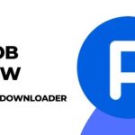 The Best Instagram Viewer and Downloader Picnob Bulkly